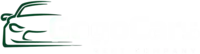 Прокат авто із GoGoCars у Львові